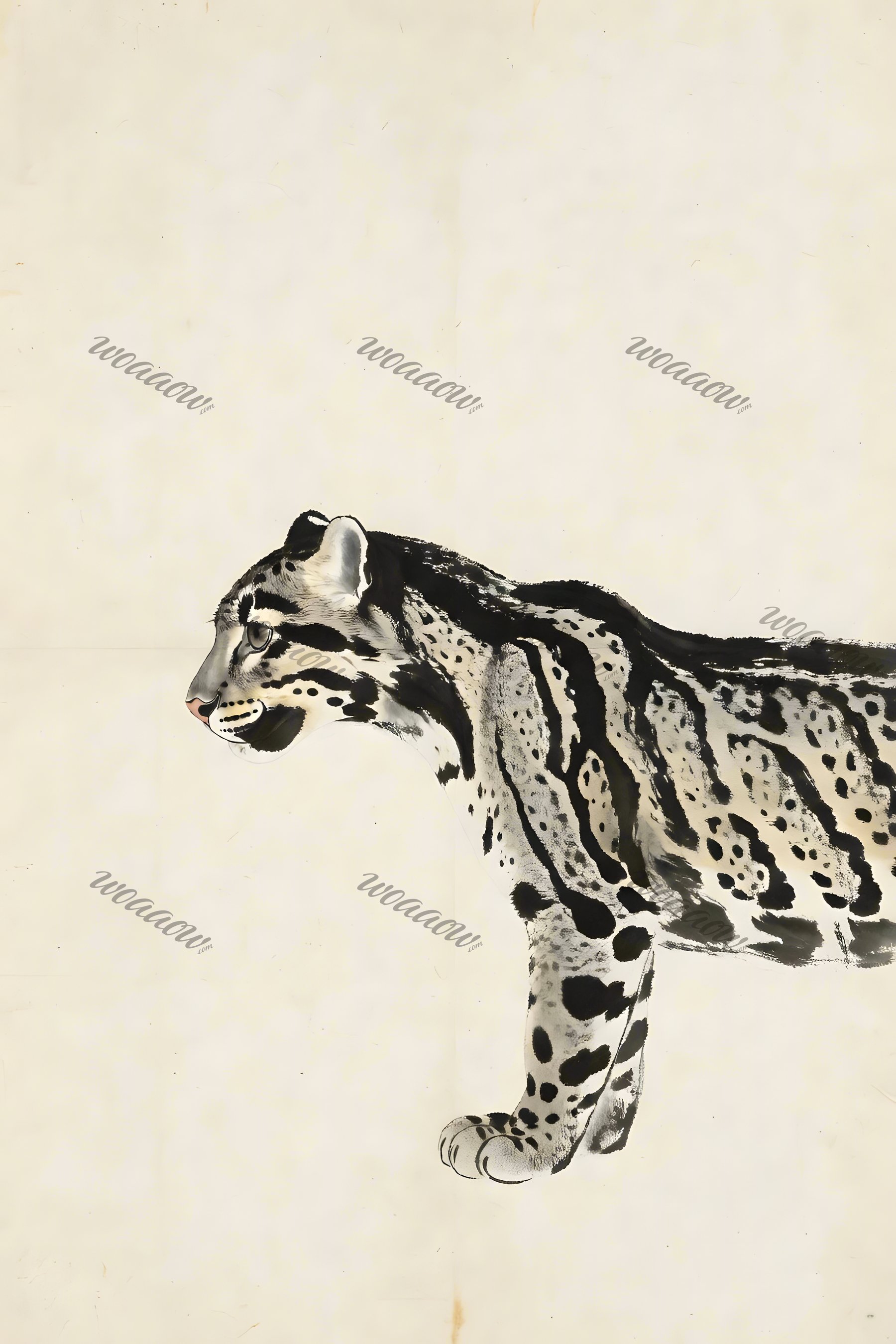 Clouded Leopard — Sumi-e