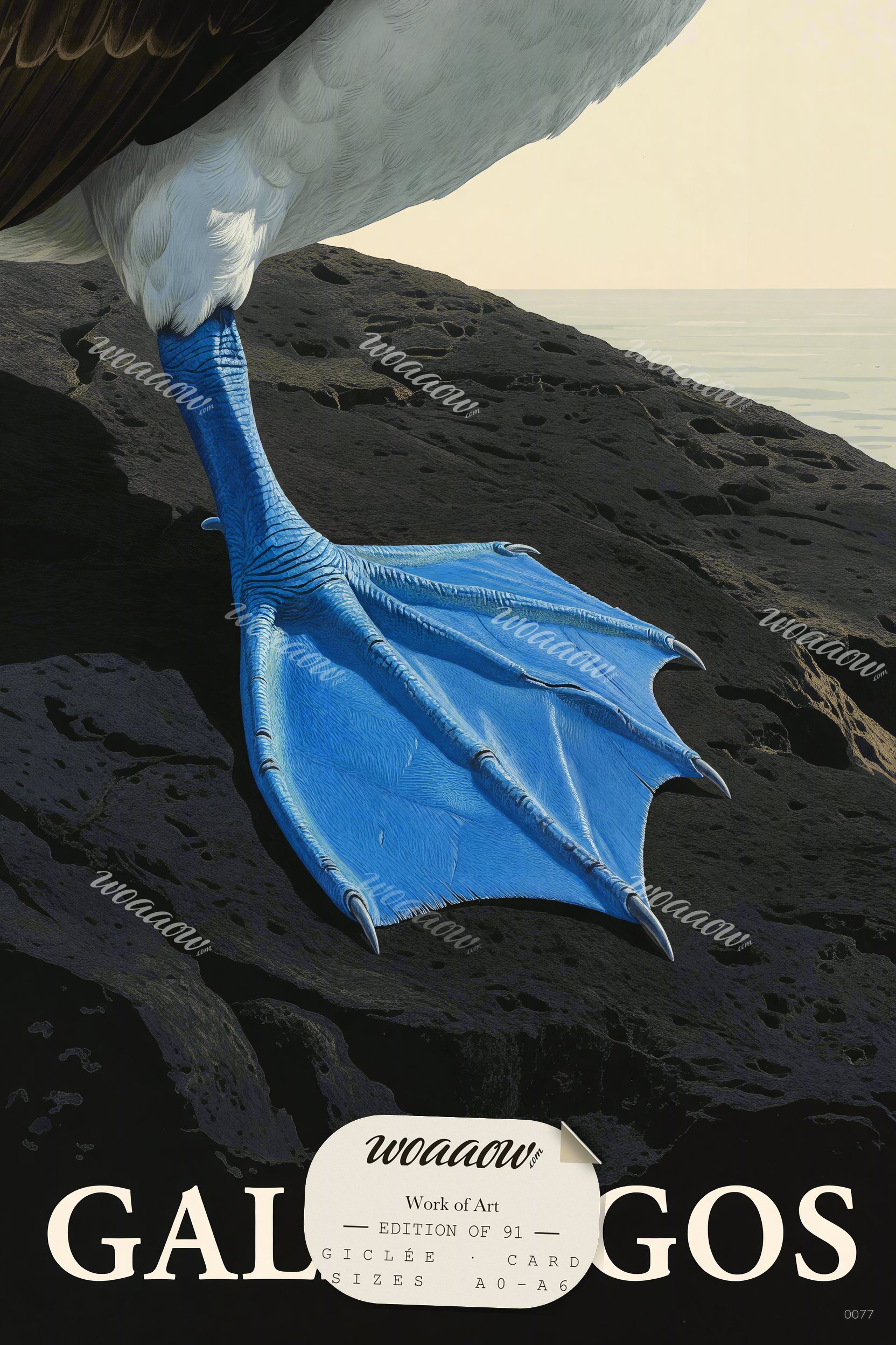 Blue-Footed Booby — Galápagos