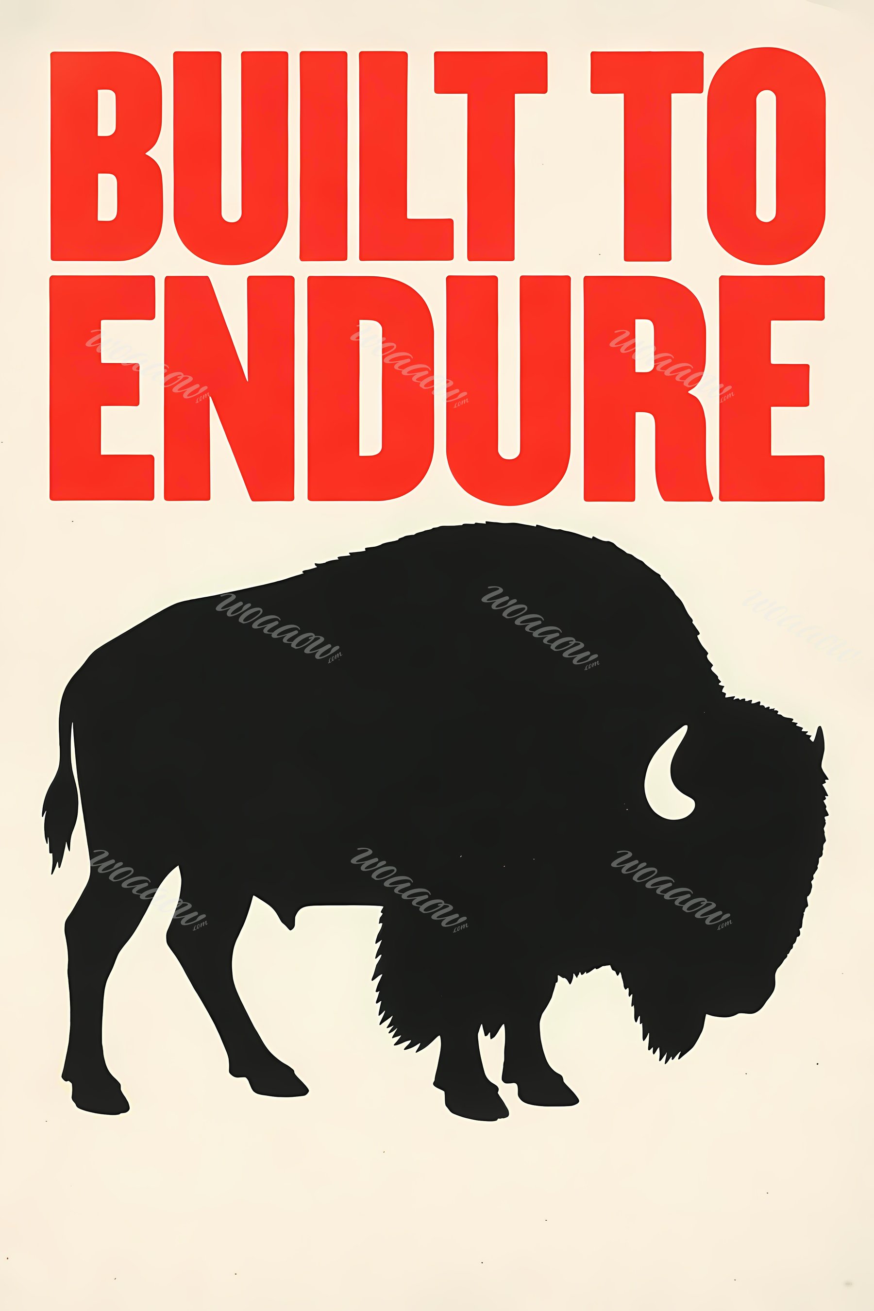 Bison On The Plains